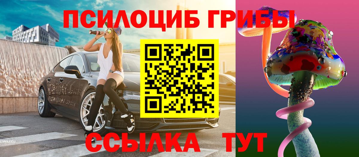 Дивногорск  Псилоцибиновые грибы мухоморы  Вход с VPN 